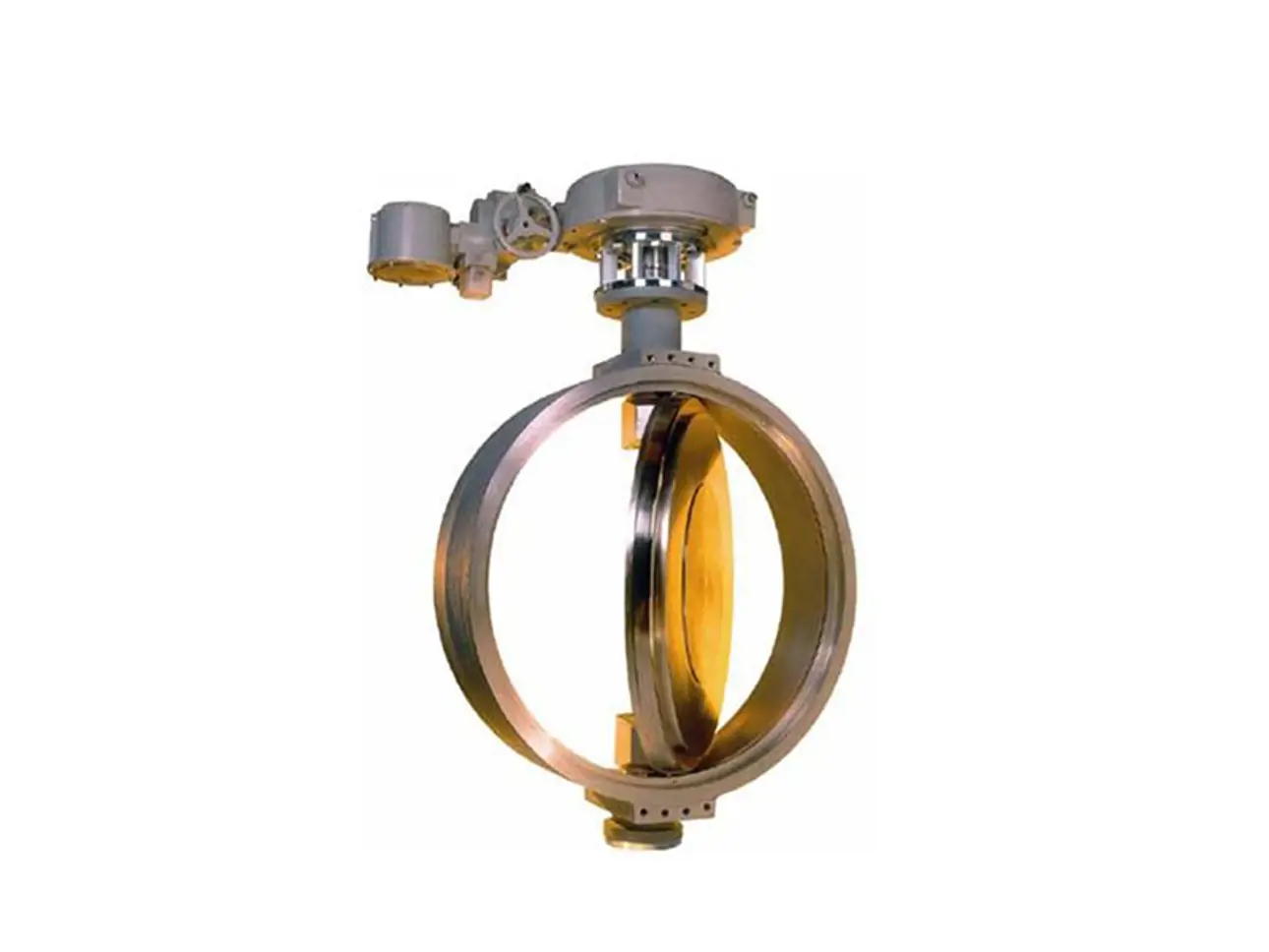 Neles™ Series BN Butterfly Valve