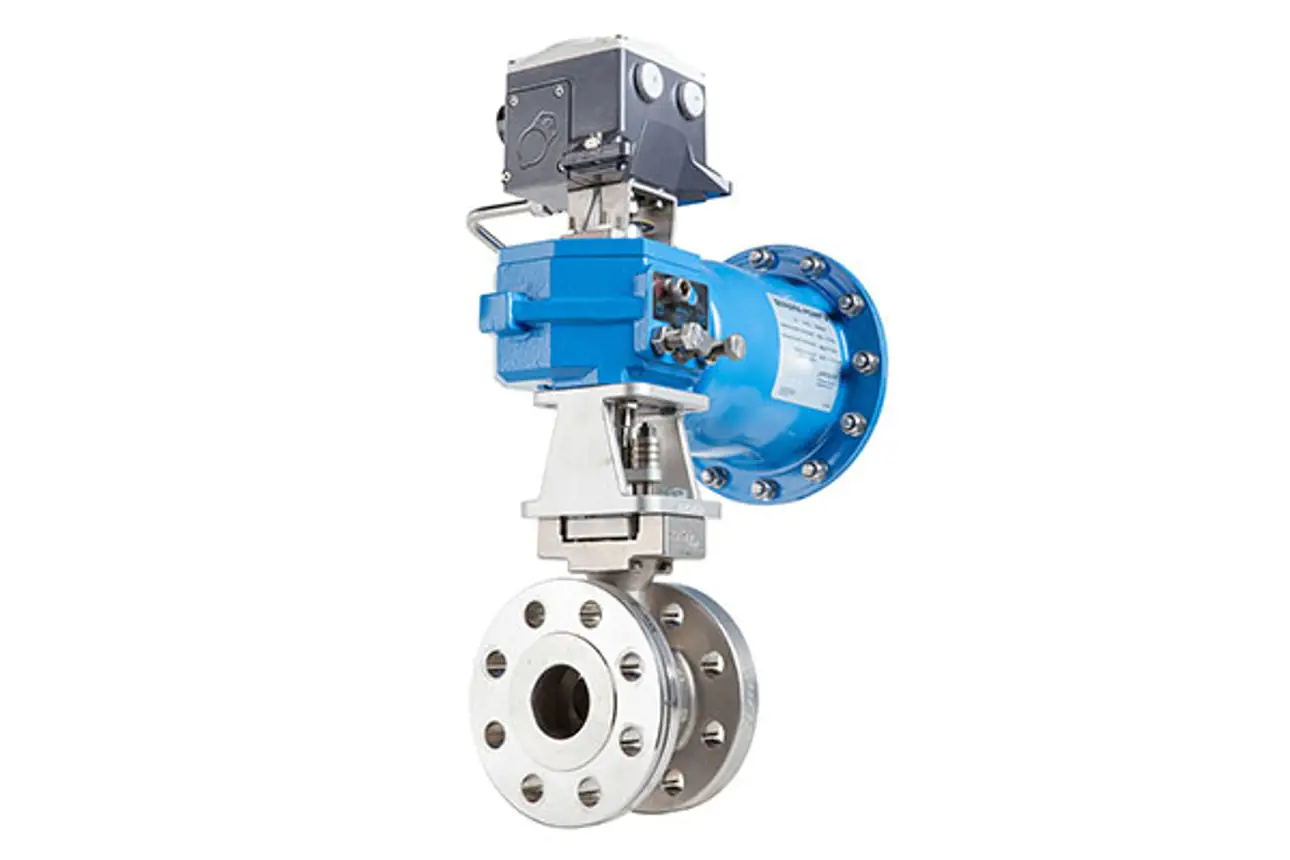 Eccentric Rotary Plug Valves, Series FC and FG