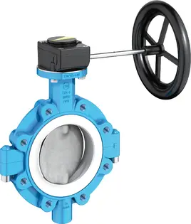 T 214-CPTFE Valve