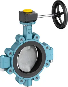 Z 614-ASplit body Lug Type