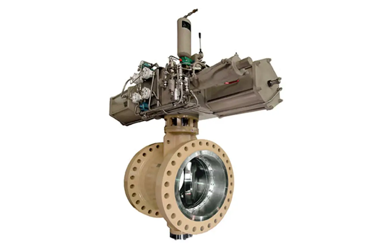 Neles™ Series BW Butterfly Valve