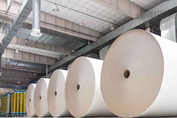 Pulp & Paper industry 02