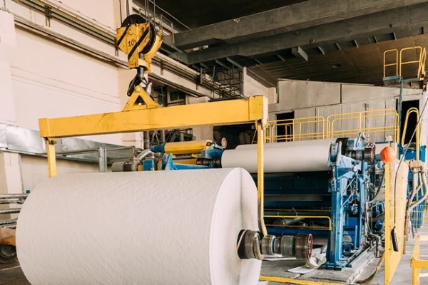 Pulp & Paper industry 03